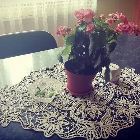 Horea's Crib * קלוז'-נאפוקה